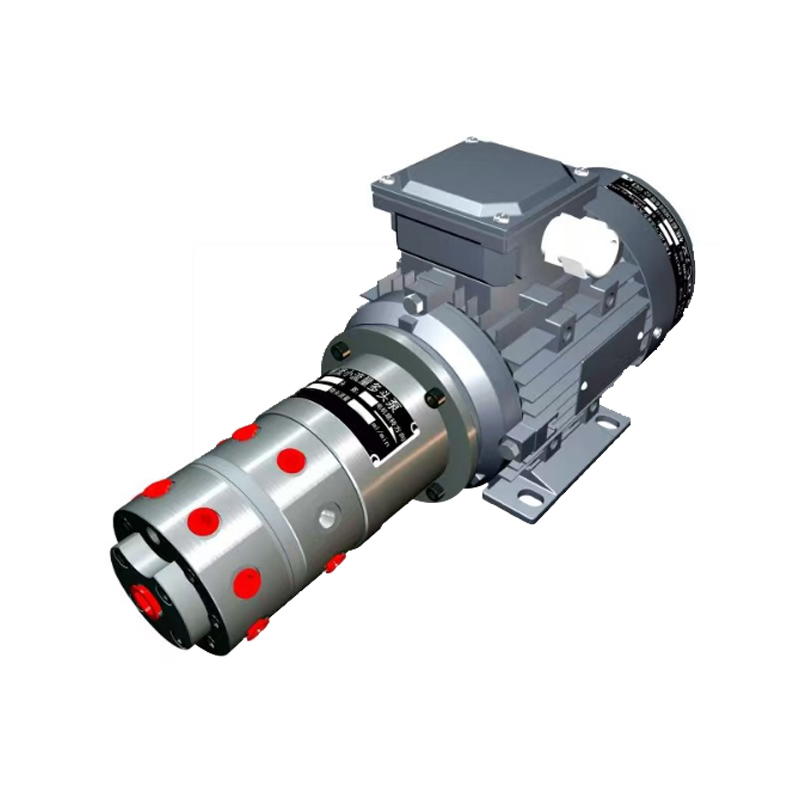 DCB-C Series Multi-Head Pump